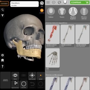 apps para estudar atlas anatomia 3d