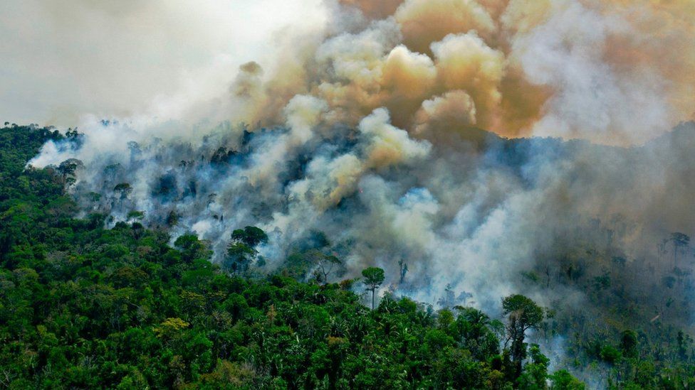 Amazônia queimando e por que estudar Geografia?